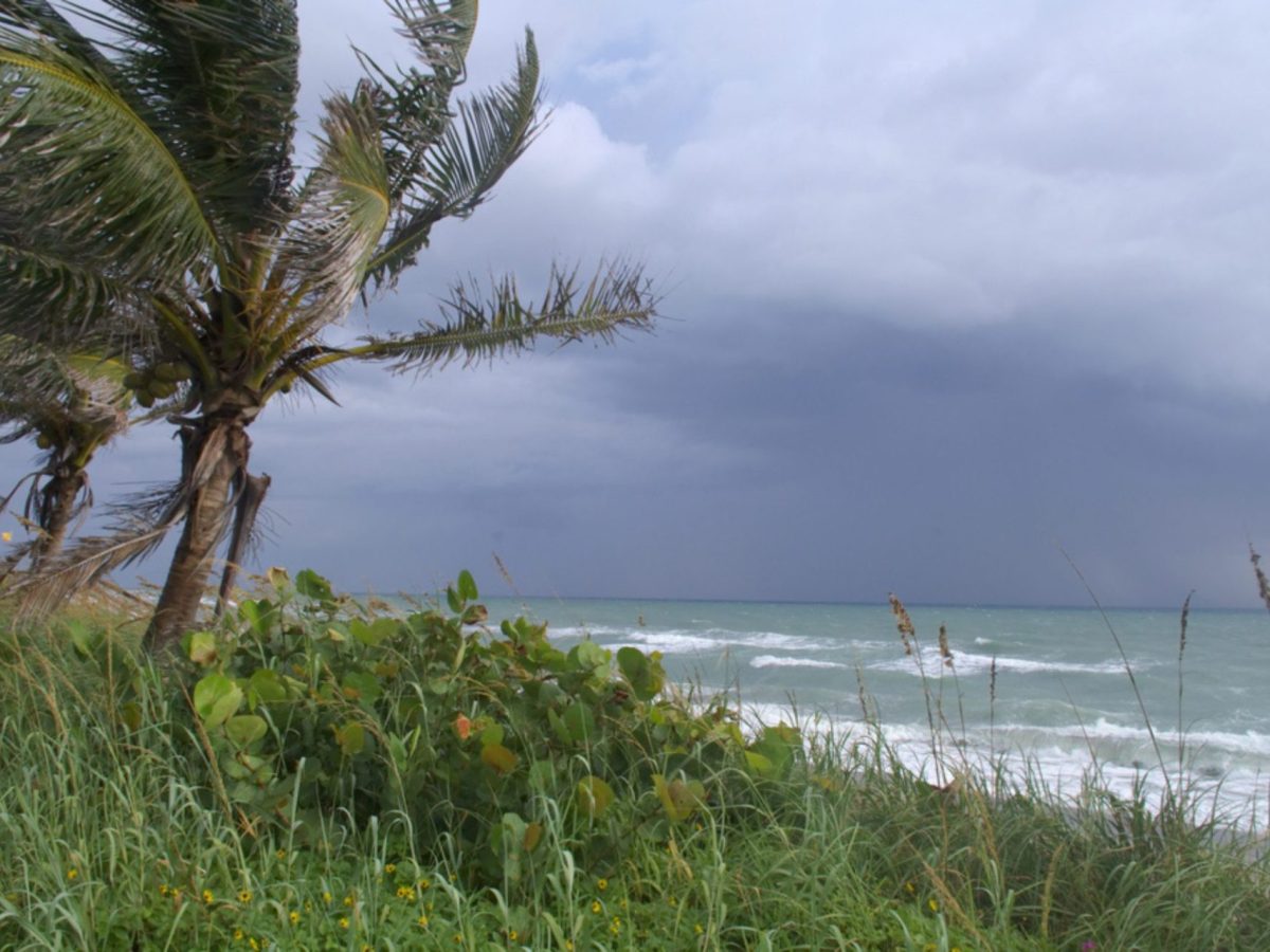 Hurricane Preparedness Kit for The Elderly, Palm Beach